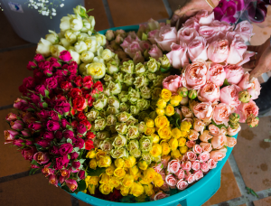 wholesale flowers in a bin
