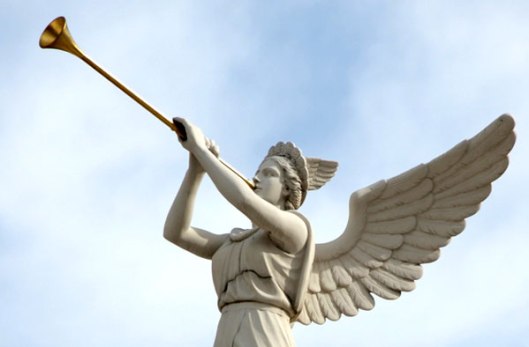 angel-trumpet (1)